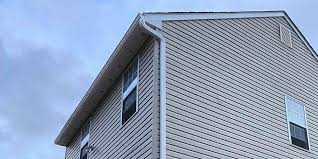 Best Storm Damage Siding Repair  in Fallon, NV